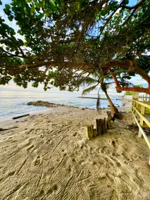 Playa Virginia Beach House Privada - Image 3