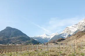 Your villa in the heart of Valais with swimming pool in summer - Image 4