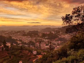 Songs of the Nilgiris Cottage | Hilltop Landmark - Image 5