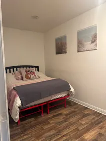 Timothy Way *Dog Friendly* - Image 3