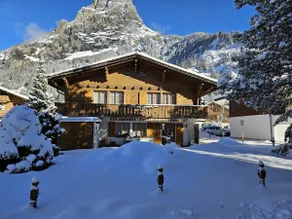 Chalet Birreblick - Image 2