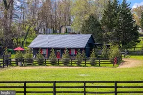 Fox Hill Farm Guest Cottage Retreat - Image 2