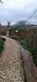 Cañaveral de León - Image 4