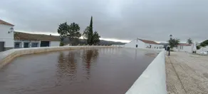Cañaveral de León - Image 3