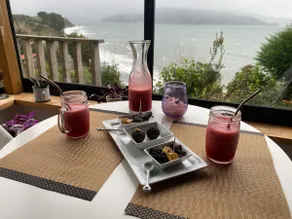 Niebla Viewpoint | Bahía Shelter - Image 5