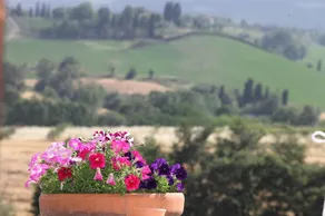 Casa Dolce Toscana | Panoramic Suite with a View - Image 3