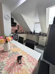 Brand new attic apartment - Image 5