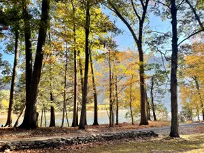 The River Retreat (2BR/1.5BA)-Pet Friendly! - Image 3