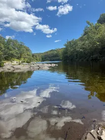 Joia Verde| Dog-Friendly Mtn Cabin| Trails| MTB - Image 5