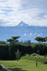Serene Villa Near Olpejeta - Mt. Kenya Views (2B) - Image 5