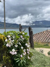 Villa Mary Panoramic Cabin of Lake Tota - Image 5