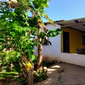 House with garden - 900 meters from Ruínas beach - Image 5