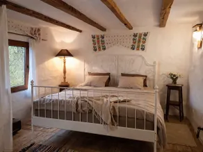 Charming Cottages in the Carpathian Mountains - Image 3
