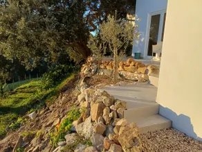 Quinta da pêra rocha - Image 4
