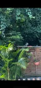 Recanto do Encanto - Image 3