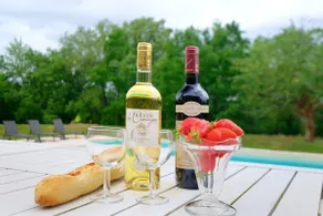 Gite l'Egal, piscine, climatisation - Image 3