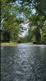 Cabin on a creek! - Image 4