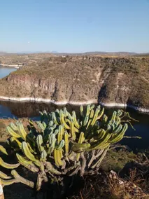 Los 4 Vientos - Image 4