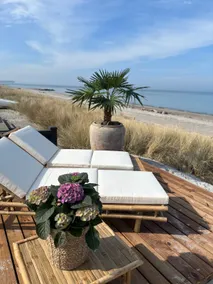 Beautiful beach house [oceanview hot tub & sauna] - Image 5