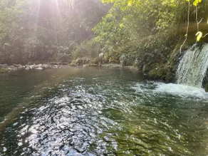 Colibrí Cabin: Pool & Waterfall - Image 2