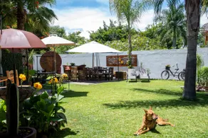 “Artist's House” | Showroom by Magnolia Homes Mx - Image 3