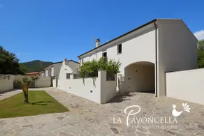 La Pavoncella (Water at the Court) - Image 3