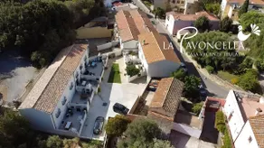 La Pavoncella (Water at the Court) - Image 4