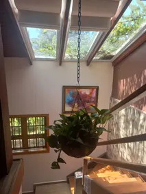 Hummingbird Haven - Image 4