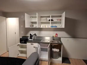 Studio with private sauna - Image 4