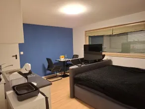 Studio with private sauna - Image 2