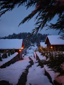 Yüksel Uyman Chalet - KırÇiçeği - Image 3