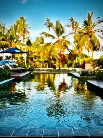 Limited-Time Beachfront Offer Near Maragogi! - Image 3
