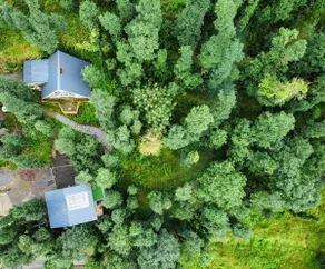 Hikers Cabin Shimla, Stargazing- By Baan Homes - Image 3