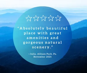 Ridgetop Retreat- Hot Tub, Arcade, Fire Pit, Views - Image 3