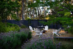 Bainbridge House-beautiful home in native bush - Image 5