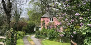 Lovely self contained cottage apt near Dartmoor. - Image 2