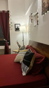 Vibrant 1 Bhk-Hinjewadi - Casa Reel-House - Image 3