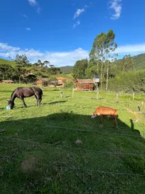 Mato Verde Inn and Farm Leash - Image 3