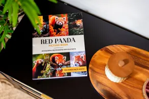 Retro Red Panda - Image 5