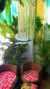 Noble-fir Bohemian House - Image 3
