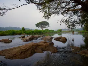 Eco Minimalist Home by the River - Image 3