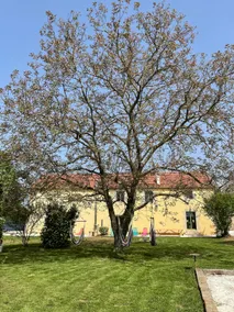 Family cottage in the countryside - Image 2