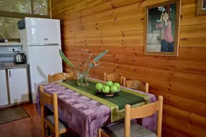 הבקתה- The Cabin - Image 2