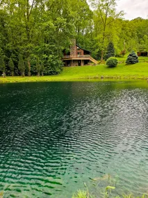 Springhaven Oasis Cabin - Image 3