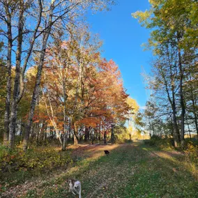 Nature's Getaway - Image 5