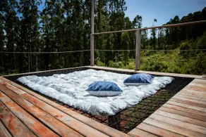 Black Cabin - Image 4