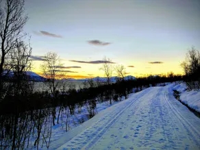 Live in the heart of the northern light - Image 3