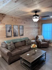 Cozy cabin vibes|2br|2 min to Pigeon Forge Parkway - Image 5