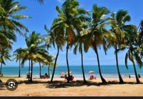 Comfortable and Well-Located Loft in Porto Seguro - Image 5