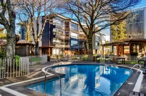 Suite apartment in Pucon, central, wifi, equipped. - Image 5